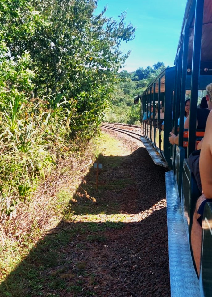 Como ir a Puerto Iguazú