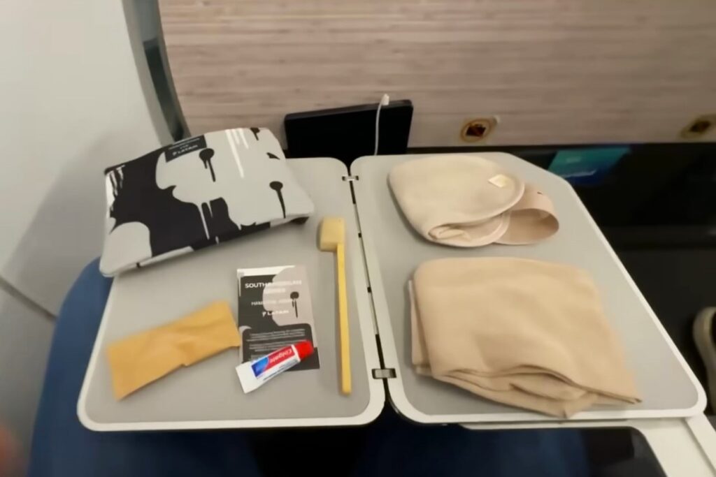 Voando de Premium Economy da Latam de São Paulo a Santiago