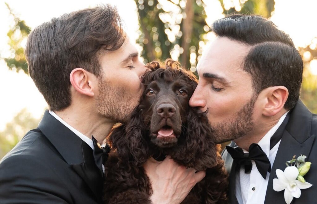 Hotel para cachorro - como se preparar para contratar o serviço para o seu pet